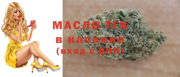 гидра Абаза