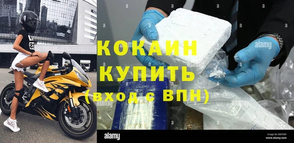 гидра Абаза