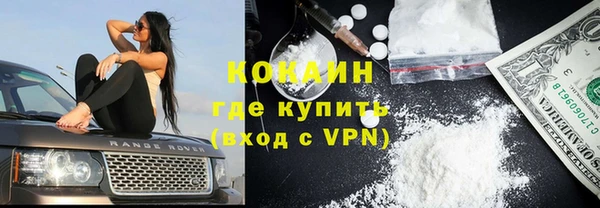 гидра Абаза