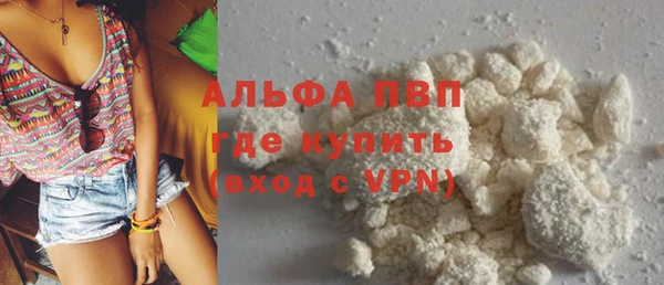 гидра Абаза