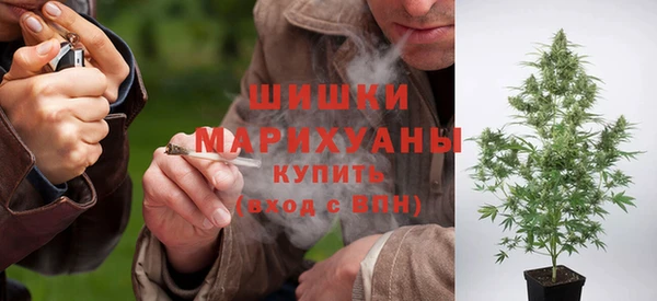 гидра Абаза